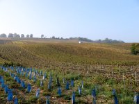 Champagne Okt 07-070